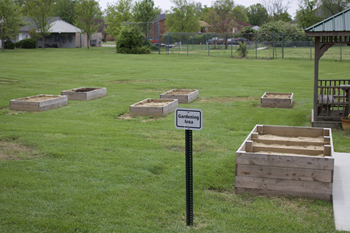 Community garden